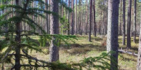 Новости Черинфо - CherInfo.Ru