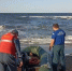 Два человека погибли в шторм в Азовском море - Вести Крым