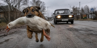 Фото сгенерировано нейросетью - НИА