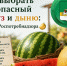Как выбрать безопасный арбуз и дыню: советы Роспотребнадзора. - Великоустюгский муниципальный округ