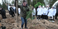 В Амурской области началась осенняя посадка леса - КП Благовещенск