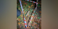 Взрывотехники обезвредили снаряд времен ВОВ в Рузском округе - M24.Ru