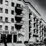 Художественный салон .png - NewKaliningrad.Ru