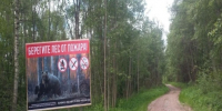 Галичское Заозерье - Департамент лесного хозяйства