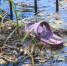 Фото Дениса Моргунова - Tumentoday.Ru