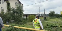 Амброзии и борщевику здесь не место: во Владикавказе борются с сорной растительностью - Администрация г. Владикавказ