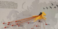 В России откроется визит-центр питомника лошади Пржевальского - KamchatkaMedia.Ru