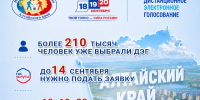 Более 210 тысяч избирателей Алтайского края планируют проголосовать дистанционно - Избирательная комиссия