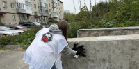 Двадцать надписей в рамках антинаркотической акции закрасили на улицах Железнодорожного района - Сетевое издание Толк