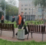 Уборка города, покос травы, обрезка деревьев – 2 сентября - Город Ковров