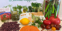 Главная библиотека Хакасии приглашает на самое вкусное событие осени - Минкультуры