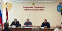 Частные охранники получили право участвовать в тушении пожаров на производствах - Pln-Pskov.Ru