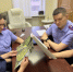 В Санкт-Петербурге подведены итоги первого этапа ежегодного конкурса агитационного плаката «Следственный комитет Российской Федерации на передовой», посвященного поддержке СВО - Следственный комитет