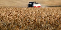 Экспорт продукции АПК Белгородской области вырос более чем на 28% с января 2026 года - Сетевое издание Ровеньская нива