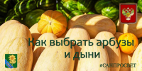Как выбрать арбузы и дыни - Администрация Ейского района