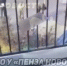 Под окнами высотки в Спутнике нашли тело мужчины - Progorod58.Ru