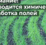 Уведомление о проведении работ по применению пестицидов и агрохимикатов. - Администрация Приволжского района