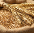 Фермер из Болховского района привлечен к ответственности за незаконный вывоз зерна - Орловский Вестник
