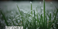 Заморозки с 3 по 5 сентября - МЧС