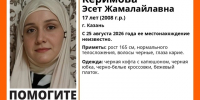 В Казани неделю разыскивают пропавшую 17-летнюю девушку - ТРК Татарстан-Новый век