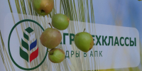 Ещё один агрокласс открыли в Кочубеевском округе - Телеканал СвоёТВ