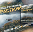 Лекарственные травы Хакасии вошли в научный сборник Русского географического общества - Абакан 24