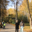 Жара до +29 С возможна в Нижегородской области в начале сентября - фото 1 - vGorodeN.Ru