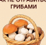 О мерах профилактики отравлений грибами среди несовершеннолетних в сезон активного сбора - Министерство спорта