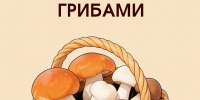 О мерах профилактики отравлений грибами среди несовершеннолетних в сезон активного сбора - Министерство спорта