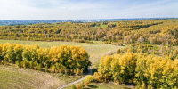 В Кузбассе в конце недели потеплеет до +24 °C - РТВ-Подмосковье