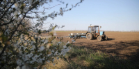 Ставропольская прокуратура потребовала устранить нарушения на сельхозземлях - Комсомольская Правда