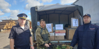JPG Файл - УМВД Костромской области
