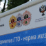 Тропические бабочки и гигантские кузнечики живут в обычной тульской многоэтажке - ГТРК