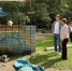 background - Kaluga-Poisk.Ru