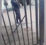 В столичной школе № 1392 после инцидента штатно продолжаются занятия - M24.Ru