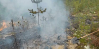 В Кандалакшском округе вспыхнули два лесных пожара - Мурманский вестник