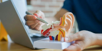 В Подмосковье девушка попала в больницу из-за таракана, заползшего ей в ухо - РТВ-Подмосковье