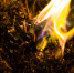 image - GazetaRB.Ru