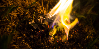 image - GazetaRB.Ru