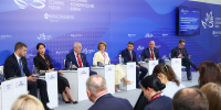 Сенатор РФ Елена Дягилева: Единый ТОР должен быть настроен как для капиталоёмких мегапроектов, так и для небольших предприятий - Министерство информационной политики