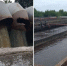 Росприроднадзор выявил нарушения в работе Арзамасского водоканала - НИА Нижний Новгород