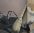 К выборам Петербург «очистили» от экопроблем — на словах - ГАZЕТА.СПб