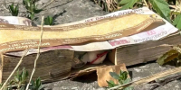 Пачку банкнот с предполагаемой взрывчаткой нашли на Кавминводах - ATVmedia.Ru
