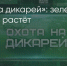 Поделитья во ВКонтакте - Братская Студия Телевидения