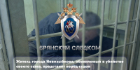 Житель города Новозыбкова, обвиняемый в убийстве своего сына, предстанет перед судом - Следственный комитет