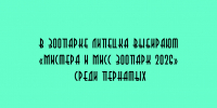 В Липецком зоопарке проходит конкурс «Мистер и Мисс зоопарк 2026»: титул разыгрывают среди пернатых обитателей - Народное слово