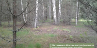 Москвичку оштрафовали за заброшенный участок в Калужской области - Калужский перекрёсток
