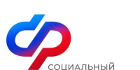 С начала года более 160 студенток получили пособие по беременности и родам от Отделения СФР по Воронежской области. - Администрация Грибановского района