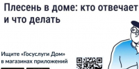 Рассказываем вам о том, что делать при появлении плесени в квартире. - Администрация Белгородского района