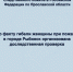 По факту гибели женщины при пожаре в городе Рыбинск организована доследственная проверка - Следственный комитет